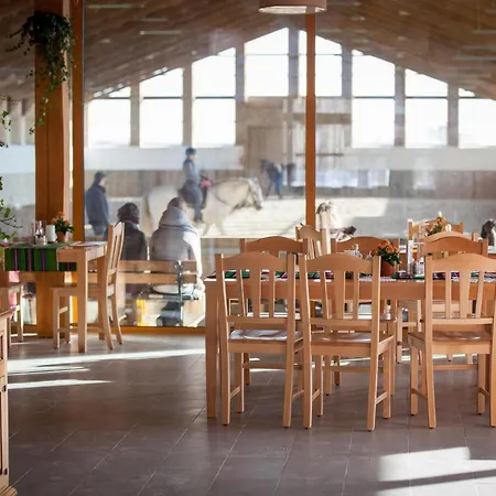 Apartament Stajnia Ojcowizna *